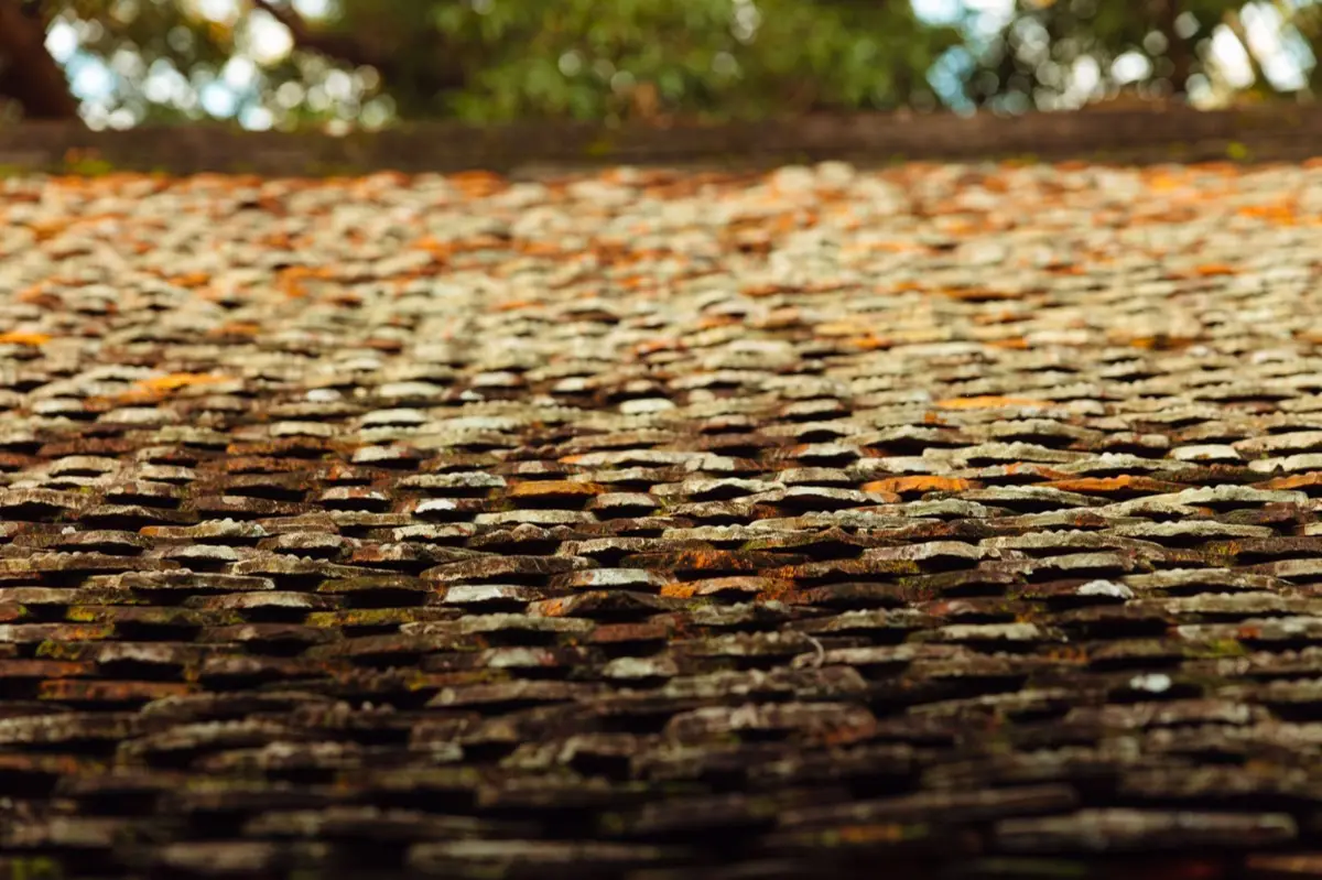 Aging shingle roof with moss growth and granule loss in Thornton, CO